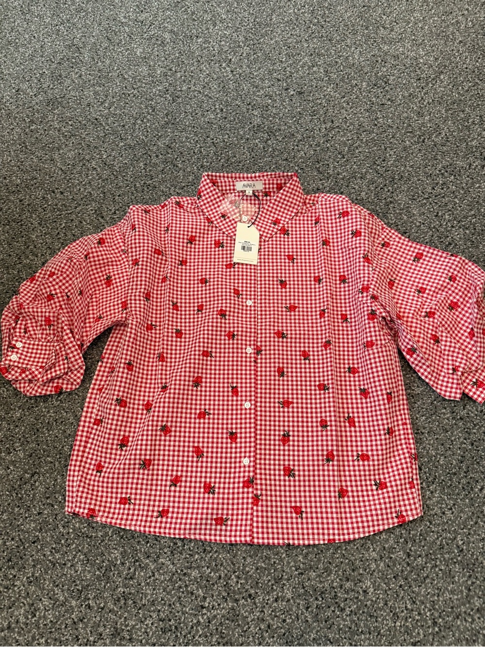 Avara Red Gingham Button-Front Blouse with Embroidered Motif